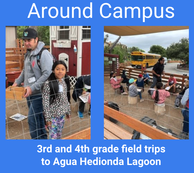 Live Feed Valley CenterPauma