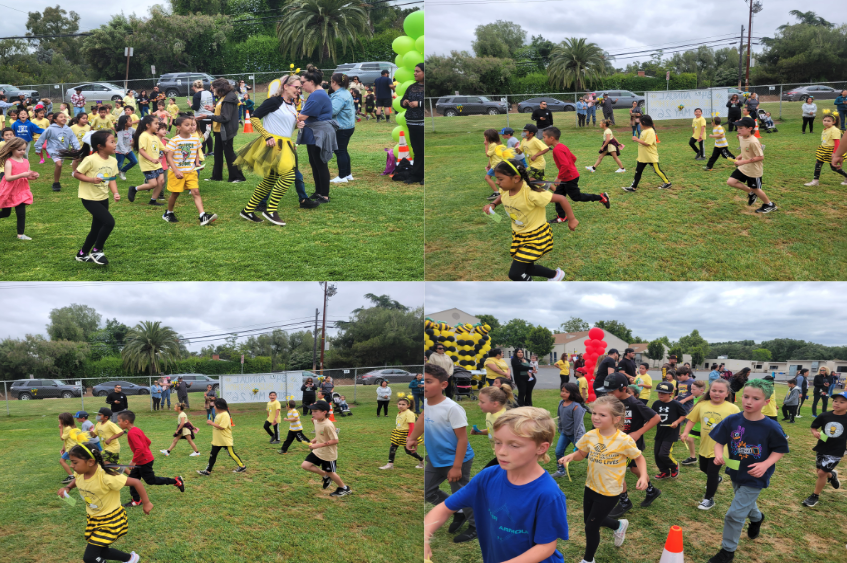 Live Feed Valley CenterPauma